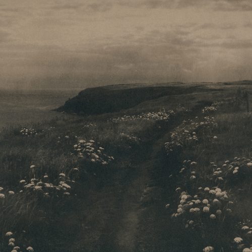 Caitriona Dunnett, Mass Paths, 2013/16.