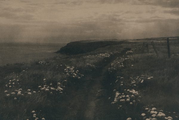 Caitriona Dunnett, Mass Paths, 2013/16.