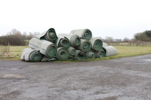 Project Cleansweep, Dara McGrath