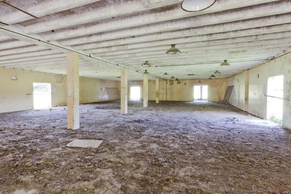 Project Cleansweep, Dara McGrath