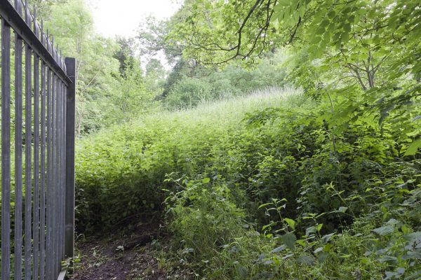 Project Cleansweep, Dara McGrath