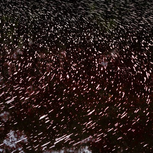 LACUNA, Kate Nolan