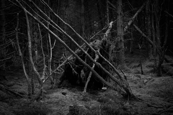 LACUNA, Kate Nolan