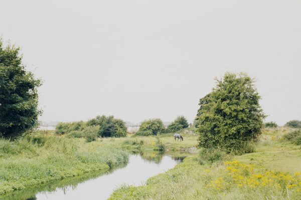 At Mirrored River, Enda Bowe