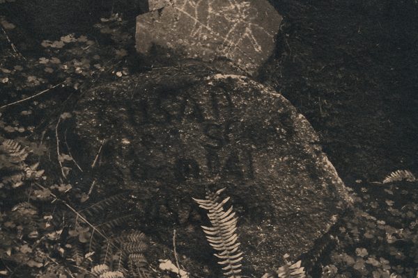 Mass Paths, Caitriona Dunnett