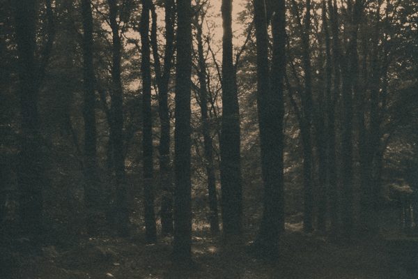 Mass Paths, Caitriona Dunnett