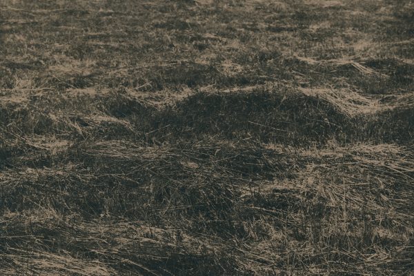 Mass Paths, Caitriona Dunnett