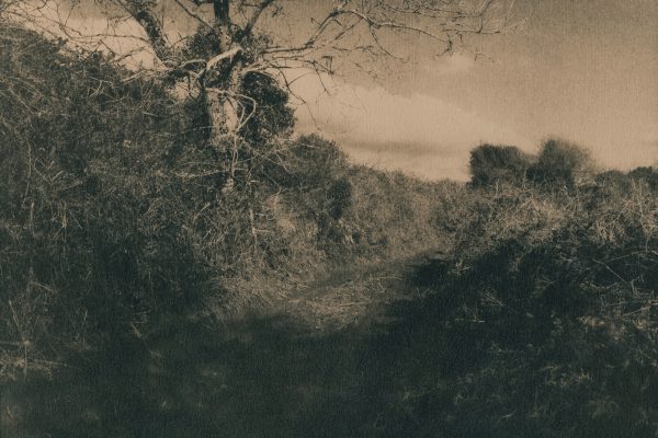 Mass Paths, Caitriona Dunnett