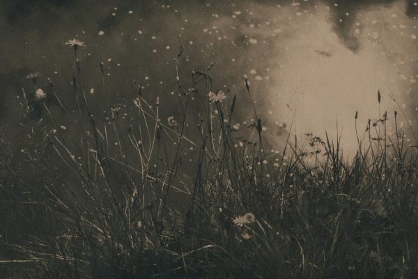 Mass Paths, Caitriona Dunnett