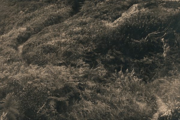 Mass Paths, Caitriona Dunnett