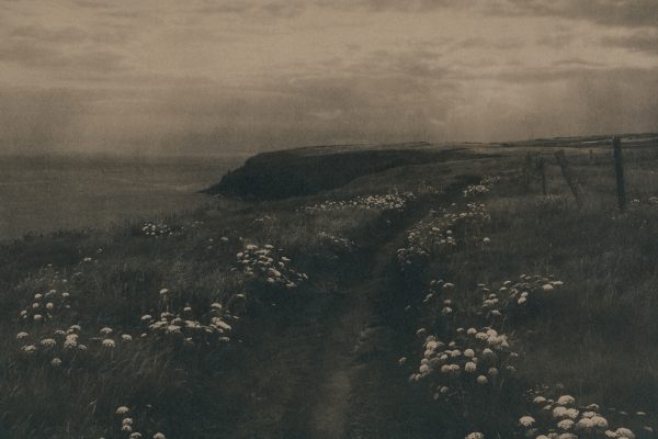 Mass Paths, Caitriona Dunnett