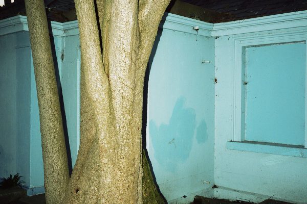 Inner Field, Shane Lynam