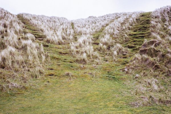The Thousand Year Old Boy, Yvette Monahan