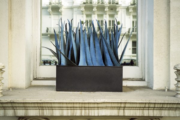 Facade, Robert McCormack
