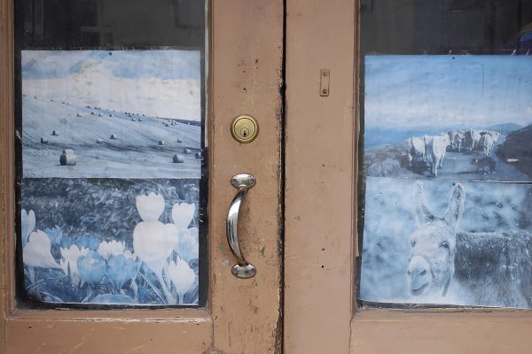 Tomorrow is Sunday, Miriam O' Connor