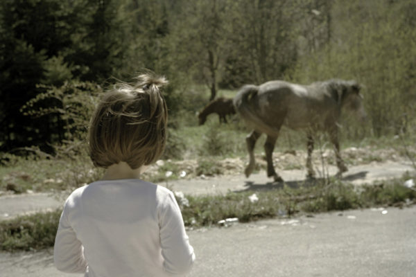 YU: The Lost Country, Dragana Jurisic