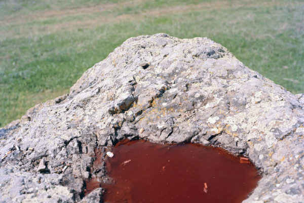 YU: The Lost Country, Dragana Jurisic