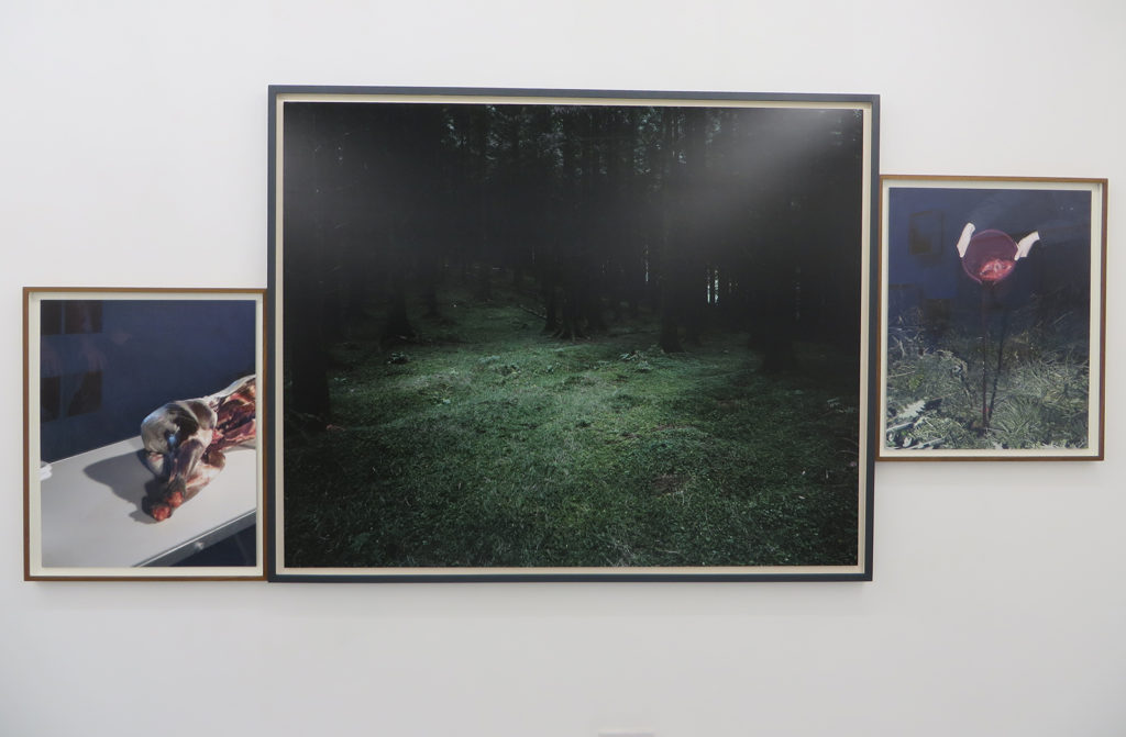 Patrick Hogan | New Irish Works at TACTIC Cork