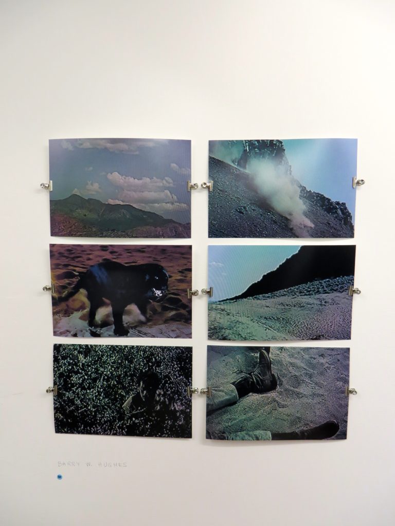 Barry W. Hughes | New Irish Works at Düo Gallery, Paris