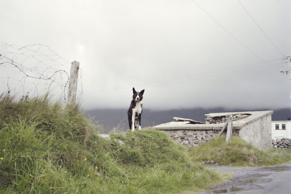 Achill, Linda Brownlee