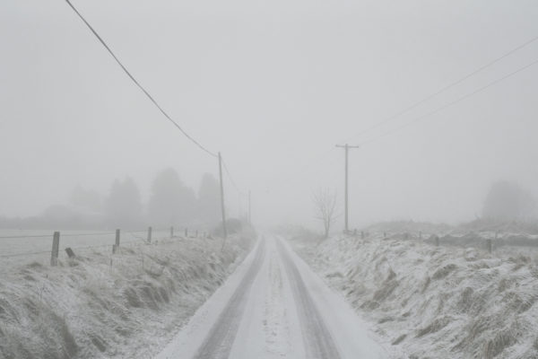 A Fading Landscape, Martin Cregg