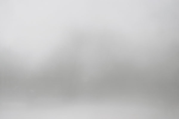 A Fading Landscape, Martin Cregg