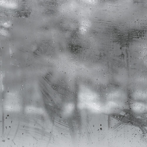 A Fading Landscape, Martin Cregg
