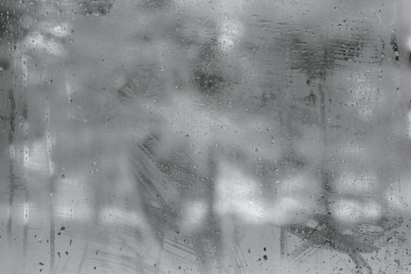 A Fading Landscape, Martin Cregg