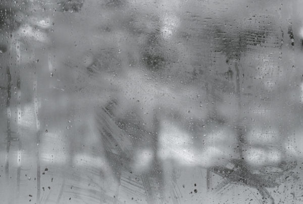 A Fading Landscape, Martin Cregg