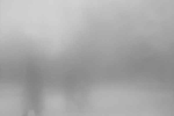 A Fading Landscape, Martin Cregg