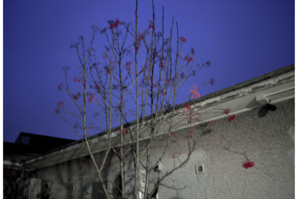Dream the End, Dorje de Burgh