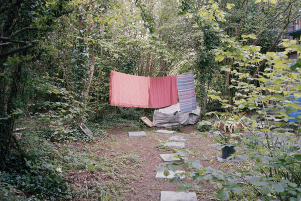 New Line, Robert Ellis