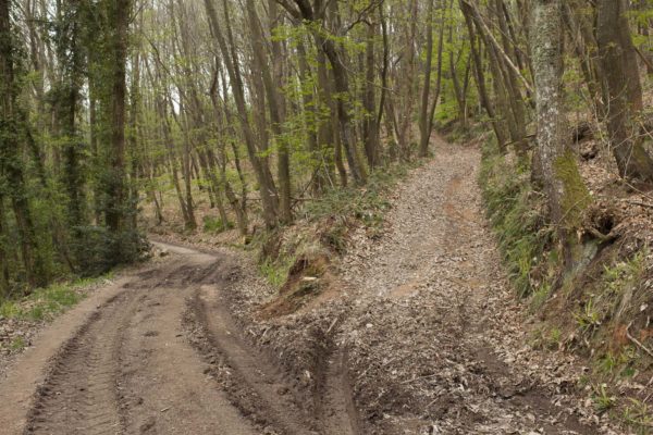 We Make the Path by Walking, Paul Gaffney
