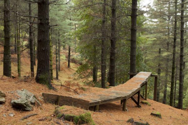 We Make the Path by Walking, Paul Gaffney