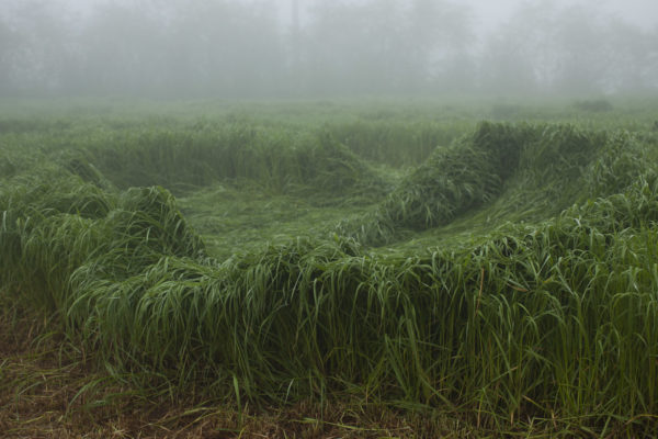 We Make the Path by Walking, Paul Gaffney