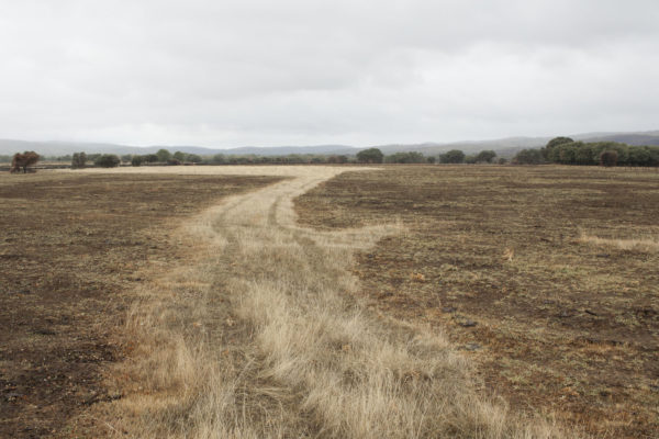 We Make the Path by Walking, Paul Gaffney