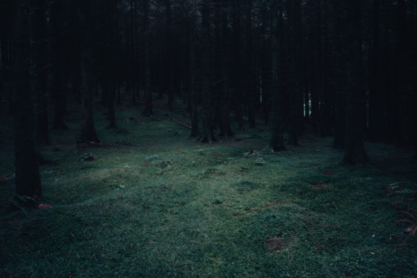 Still, Patrick Hogan