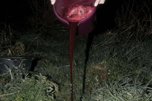 Still, Patrick Hogan