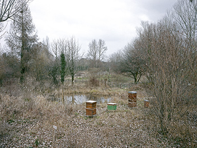 Contours, Shane Lynam