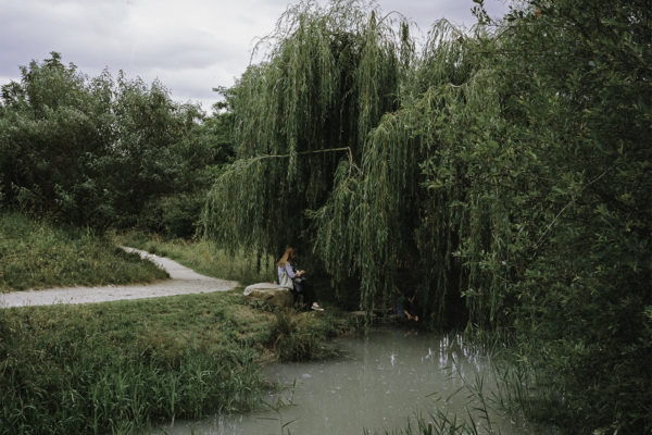 Contours, Shane Lynam