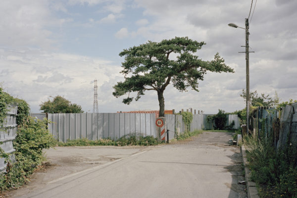 Contours, Shane Lynam