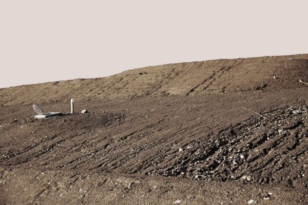 Earth is Room Enough, Caroline McNally