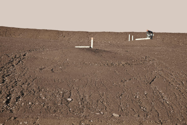 Earth is Room Enough, Caroline McNally