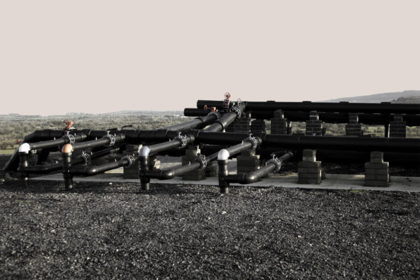 Earth is Room Enough, Caroline McNally