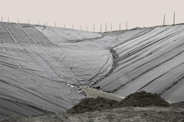 Earth is Room Enough, Caroline McNally