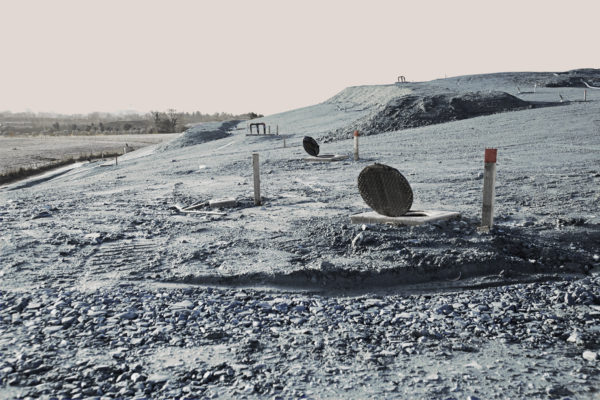 Earth is Room Enough, Caroline McNally