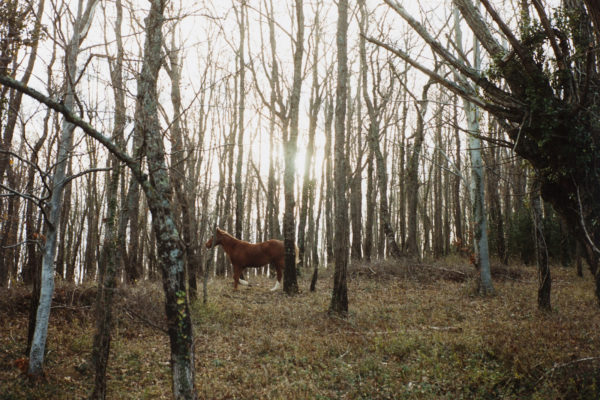 The Time of Dreaming the World Awake, Yvette Monahan