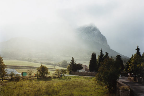 The Time of Dreaming the World Awake, Yvette Monahan