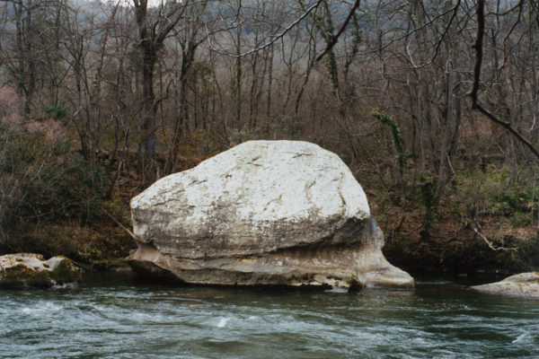 The Time of Dreaming the World Awake, Yvette Monahan