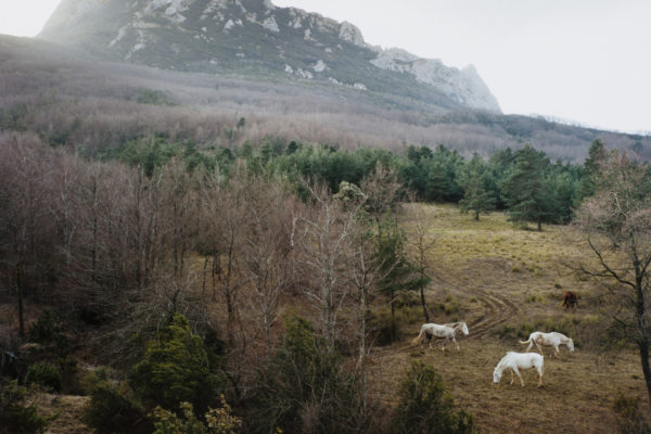 The Time of Dreaming the World Awake, Yvette Monahan